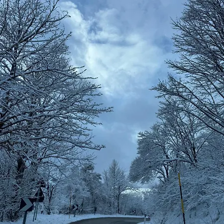 Apartament La Dama Bianca *