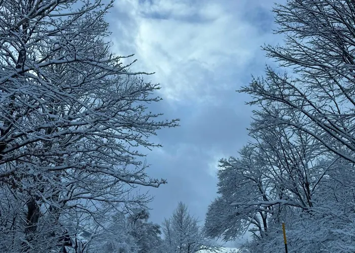 Apartman La Dama Bianca *